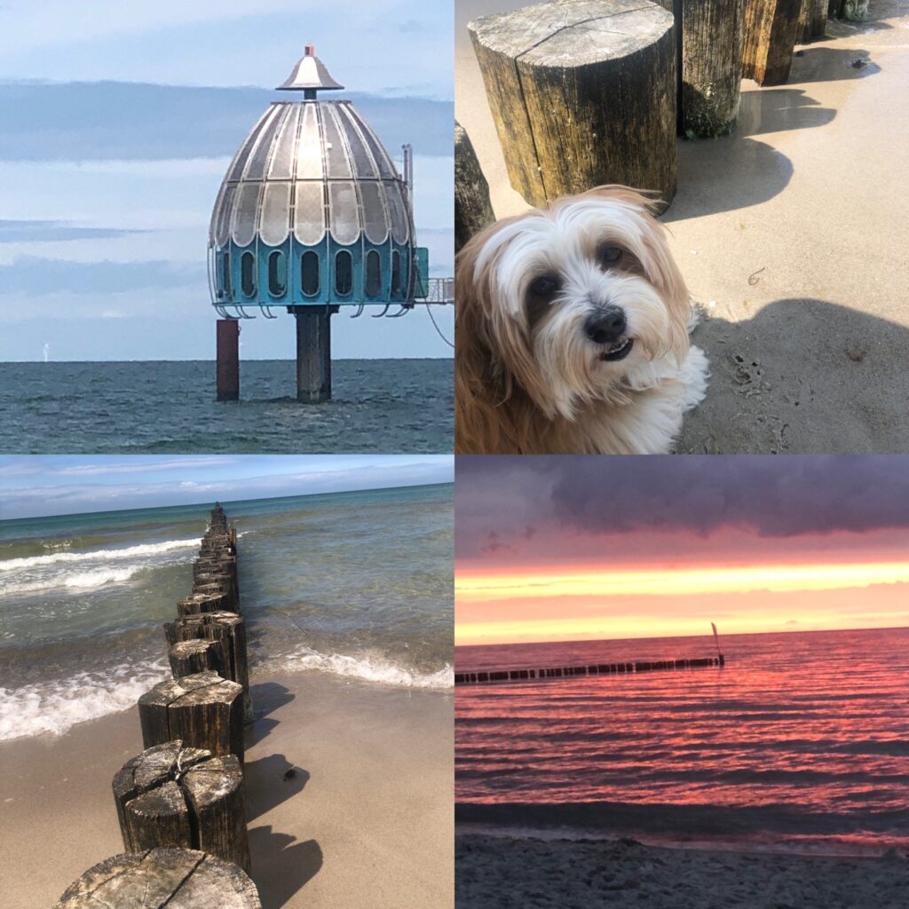 Ein Ferien Genuss Sand, Strand, Meer, Sonnenuntergang, Hundeurlaub an